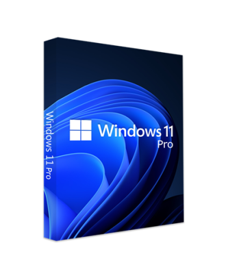 Windows 11 Pro 